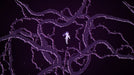 EAN 8436622260799 - Meridiem Games Naiad - Flow Edition imagen 3