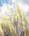 EAN 4005556236114 - Ravensburger 23611 libro y página para colorear Kit de pintura por números imagen 2