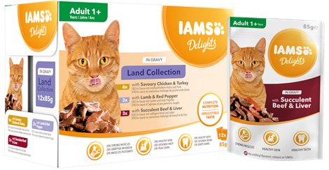 EAN 8710255100418 - IAMS 100418 comida húmeda para gatos 85 g imagen 1