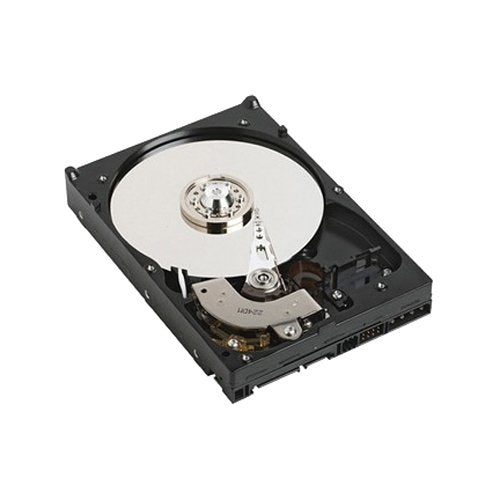 EAN 5711045759536 - DELL 1TB SATA 7200rpm disco duro interno 3.5" Serial ATA II imagen 1