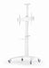 EAN 8716309128995 - Gembird Aluminum TV floor stand with caster wheels, 37\" - 70\", baltas | imagen 7