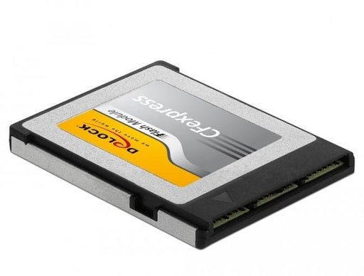 EAN 4043619540662 - DeLOCK 54066 memoria flash 256 GB CFexpress imagen 1