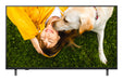 EAN 8806096511541 - LG 55UA751C 139,7 cm (55") 4K Ultra HD Smart TV Negro 20 W imagen 1