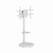EAN 8716309135047 - Gembird TVS-86TR-01-W soporte para TV 2,18 m (86") Blanco imagen 1