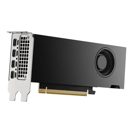 EAN 3536403400910 - PNY VCNRTX2000ADA-PL tarjeta gráfica NVIDIA RTX 2000 Ada 16 GB GDDR6 imagen 1