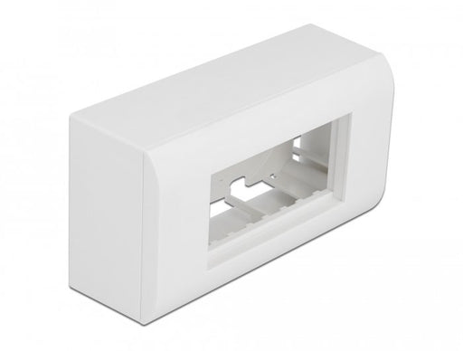 EAN 4043619813339 - DeLOCK 81333 accesorio para panel de conexiones imagen 1