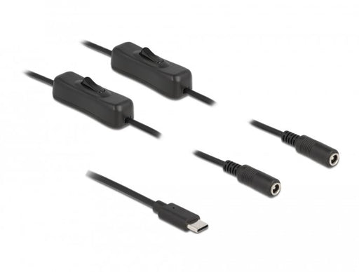 EAN 4043619868001 - DeLOCK 86800 cambiador de género para cable 2 x DC 5.5 x 2.1 mm Negro imagen 1