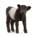 EAN 4059433789323 - schleich FARM WORLD 13969 figura de juguete para niños imagen 1