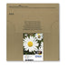 EAN 8715946638850 - Epson Daisy C13T18064511 cartucho de tinta 1 pieza(s) Original Rendimiento estándar Negro, Cian, Magenta, imagen 2