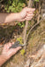 EAN 4006885408005 - wolfcraft GmbH 4080000 alicate multiherramienta para bolsillo 13 herramientas Metálico imagen 13