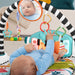 EAN 0194735224043 - Fisher-Price Kick & Play Tela, Plástico Multicolor Manta de juegos para bebés imagen 5