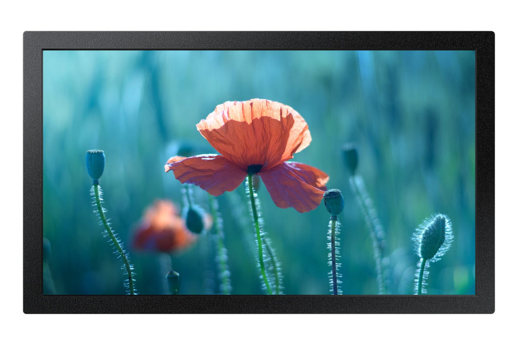 EAN 8806097407300 - Samsung QB13C 33 cm (13") LCD Wifi 500 cd / m² Full HD Negro 16/7 imagen 1