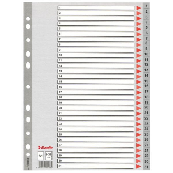 EAN 5902812001082 - Esselte Plastic indexes imagen 1