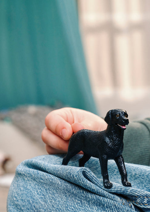 EAN 4069111315256 - schleich 14922 figura de juguete para niños imagen 2