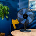 EAN 5908269345298 - Zelmer ZTF0300 ventilador Negro imagen 2