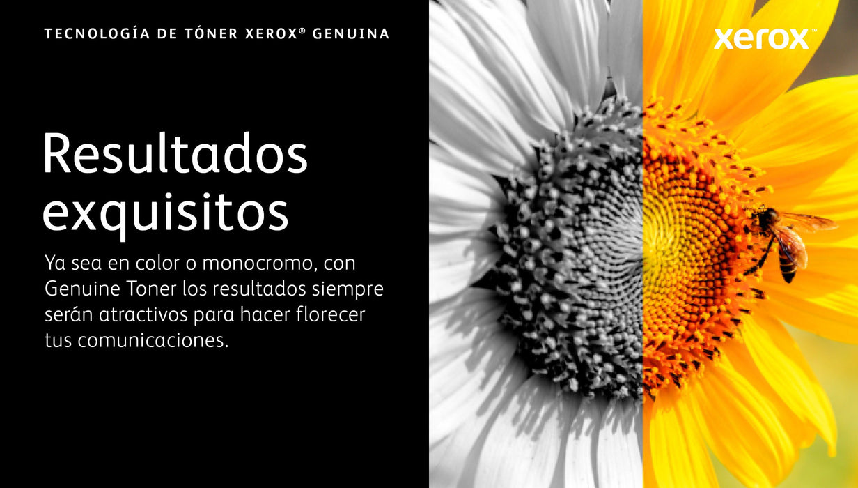 EAN 0095205846249 - Xerox 106R03760 cartucho de tóner 1 pieza(s) Original imagen 9