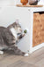 EAN 4011905422428 - TRIXIE 42242 juguete para perro y gato imagen 7