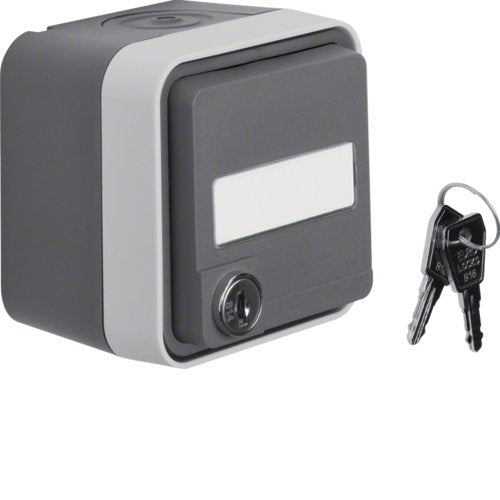 EAN 4011334395010 - Hager 47393505 interruptor de luz Gris imagen 1