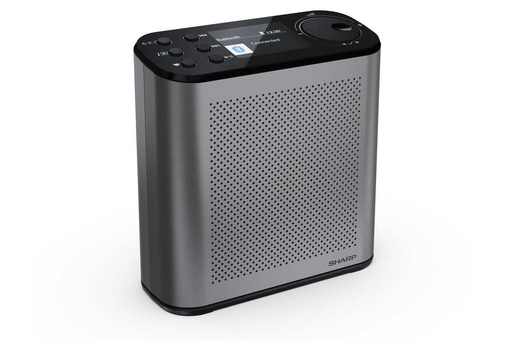 EAN 4974019204468 - Sharp Digitalradio DR-P530 GR Portátil Digital imagen 3