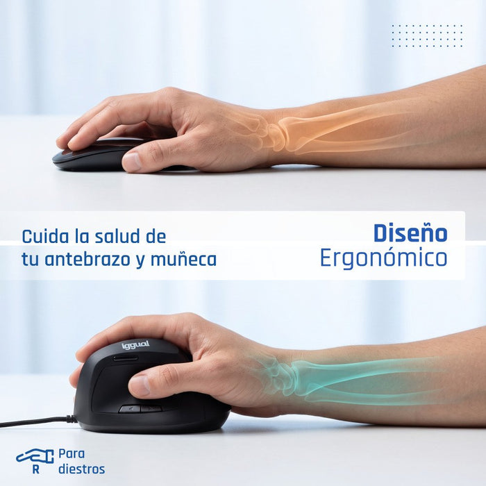 EAN 8435364318386 - iggual IGG318386 ratón Oficina Mano derecha USB tipo A Óptico 2400 DPI imagen 4