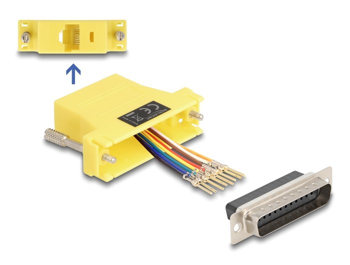 EAN 4043619671168 - DeLOCK 67116 tarjeta y adaptador de interfaz RJ-45 imagen 1