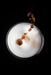 EAN 0010942223115 - Krups Evidence EA8918 Totalmente automática Máquina espresso 2,3 L imagen 15