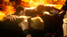 EAN 5021290080621 - Square Enix Final Fantasy XV - Royal Edition PlayStation 4 imagen 21