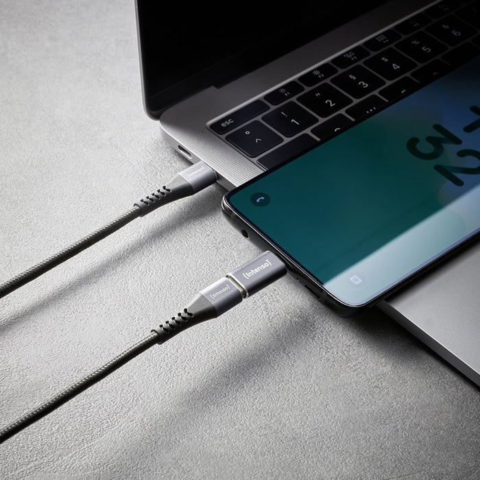 EAN 4034303038152 - Intenso 7600913 cambiador de género para cable Gris imagen 16