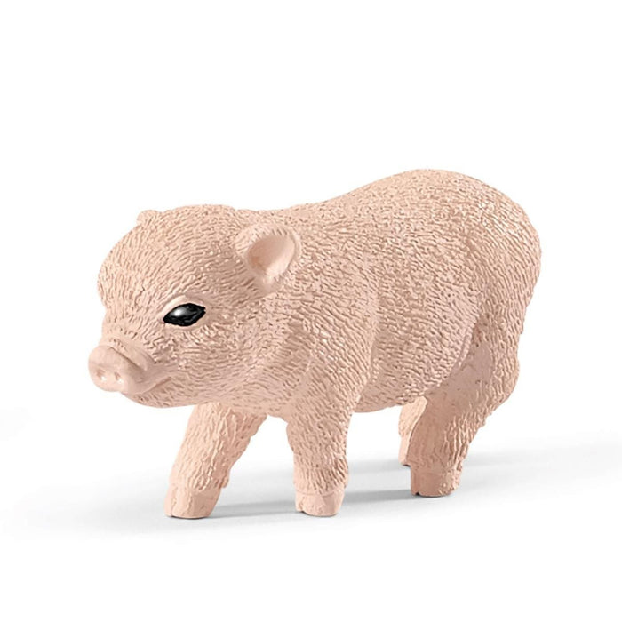 EAN 4055744029929 - schleich FARM WORLD 42486 figura de juguete para niños imagen 5
