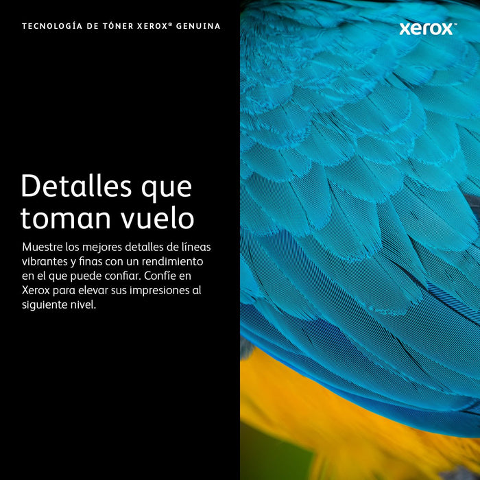 EAN 0095205882162 - Xerox 106R04080 cartucho de tóner 1 pieza(s) Original imagen 3