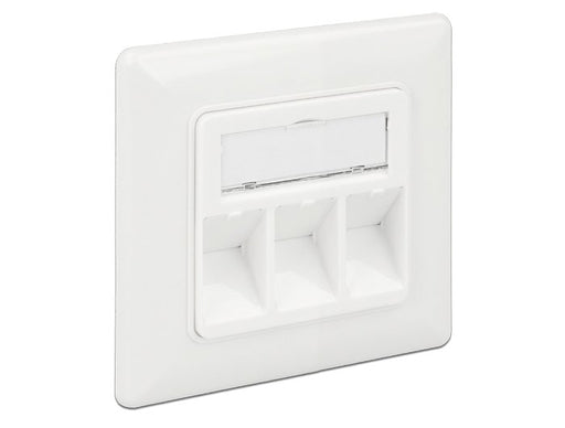 EAN 4043619861941 - DeLOCK 86194 toma de corriente RJ-45 Plata, Blanco imagen 1