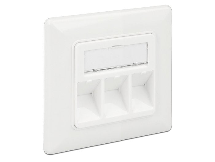EAN 4043619861941 - DeLOCK 86194 toma de corriente RJ-45 Plata, Blanco imagen 1