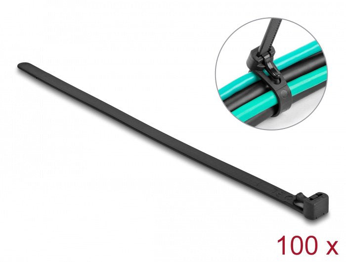 EAN 4043619190669 - DeLOCK 19066 presilla Bridas adherentes para cables Nylon 100 pieza(s) imagen 1