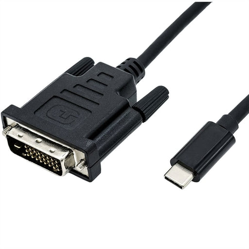 EAN 7611990145829 - ROLINE 11045831 2 m DVI-D USB Tipo C Negro imagen 1