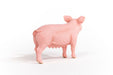 EAN 4059433358260 - schleich FARM WORLD 13933 figura de juguete para niños imagen 5