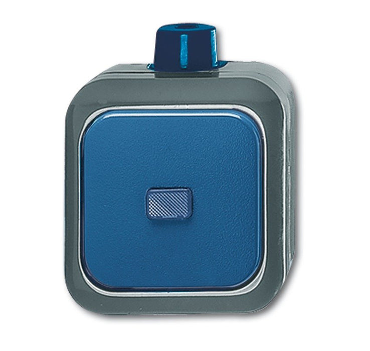 EAN 4011395026502 - Busch-Jaeger 2601/6 WDI Azul, Gris imagen 1
