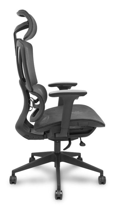 EAN 8435501019626 - PIQUERAS Y CRESPO Pro537 Asiento acolchado Respaldo de malla imagen 7