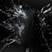 EAN 5907769300370 - Wozinsky WSB1BK imagen 11