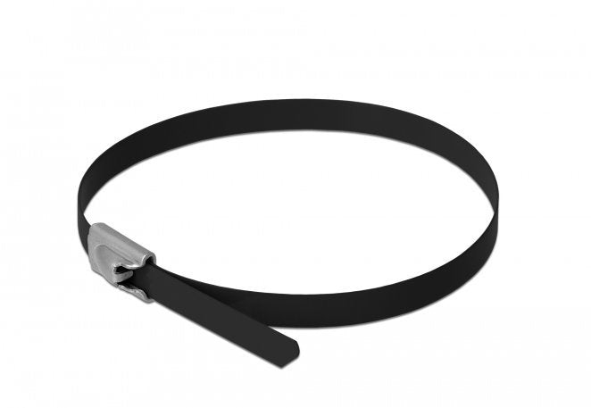 EAN 4043619188109 - DeLOCK 18810 presilla Acero Negro 10 pieza(s) imagen 1