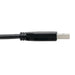 EAN 37332218391 - Tripp Lite U428-006 cable USB USB 3.2 Gen 1 (3.1 Gen 1) 1,83 m USB C USB A 5 Gbit/s Negro imagen 6