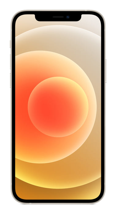 EAN 0194252033258 - Apple iPhone 12 15,5 cm (6.1") SIM doble iOS 14 5G 256 GB Blanco imagen 1