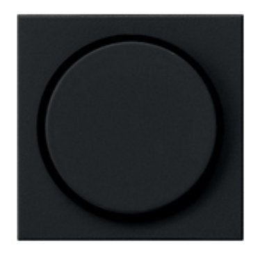 EAN 4010337036593 - GIRA 0650005 accesorio de interruptor eléctrico Protectora imagen 1