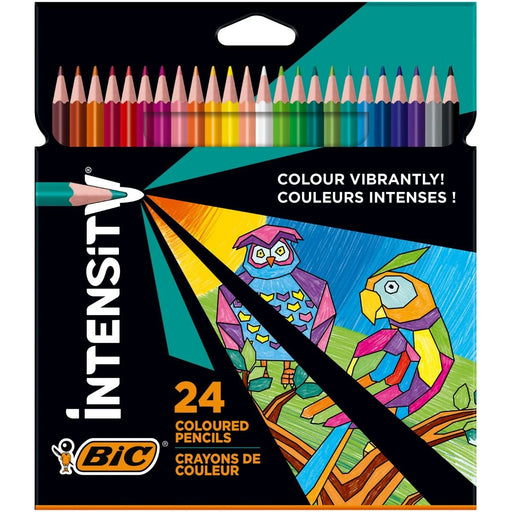 EAN 3086123499164 - BIC 9641481 lápiz de color 24 pieza(s) imagen 2