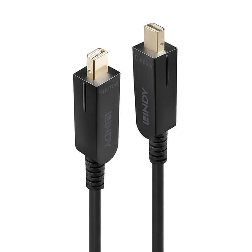 EAN 4002888384803 - Lindy 38480 cable DisplayPort 10 m Mini DisplayPort Negro imagen 2