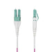 EAN 65030920834 - StarTech.com OM4RLCLC50M Cable de fibra óptica e InfiniBand imagen 2