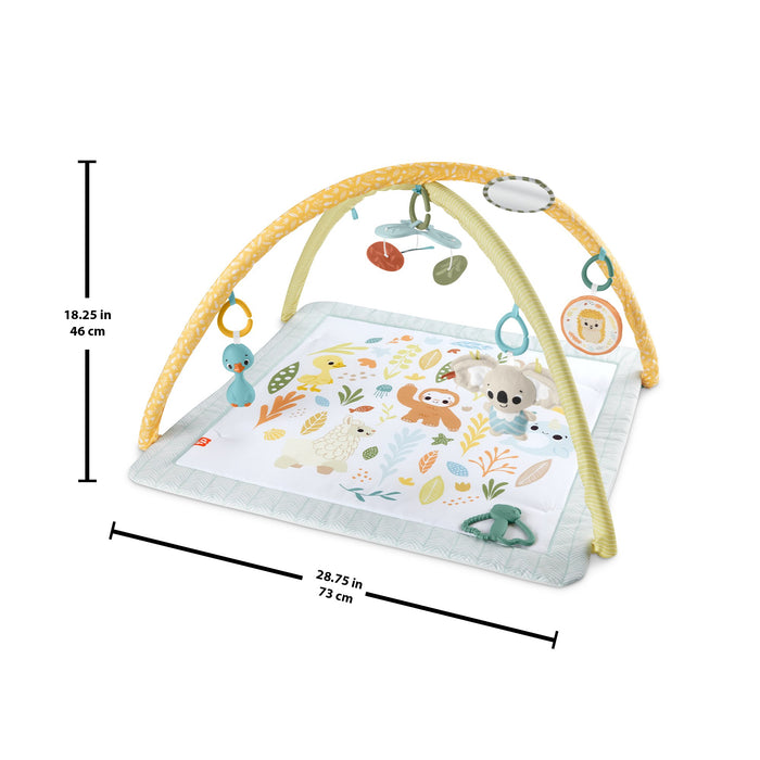 EAN 0194735171385 - Fisher-Price Sensimals HRB15 gimnasio para bebé y tapete de juego Tela, Plástico Multicolor Gimnasio para imagen 5