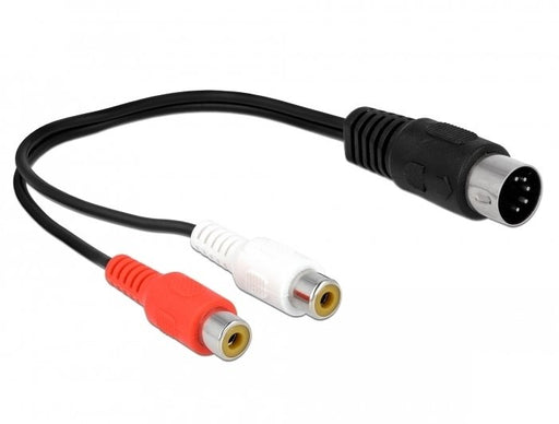 EAN 4043619858354 - DeLOCK 85835 cable de audio 0,2 m DIN (5-pin) 2 x RCA Negro imagen 1