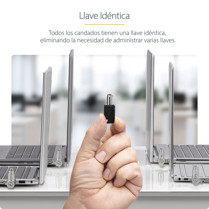EAN 0065030908412 - StarTech.com UNIVKA25-LAPTOP-LOCK cable antirrobo Negro 2 m imagen 14