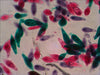 EAN 0611901511085 - Levenhuk N38 NG Vidrio Portaobjetos de microscopio imagen 3