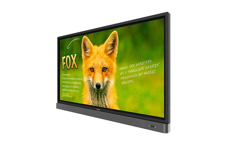 EAN 4718755070181 - BenQ Rp653k Panel plano interactivo 165,1 cm (65") LED 450 cd / m² 4K Ultra HD Negro Pantalla táctil imagen 3